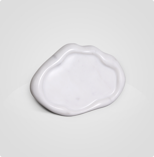 Turtle Plate - White